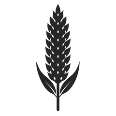 Quinoa vector silhouette illustration isolated on white background