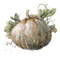 Colorful watercolor pumpkin with leaves. Helloween element. Digital illustration.