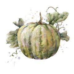 Colorful watercolor pumpkin with leaves. Helloween element. Digital illustration.