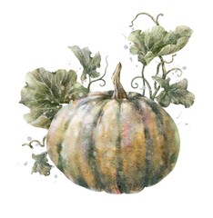 Colorful watercolor pumpkin with leaves. Helloween element. Digital illustration.
