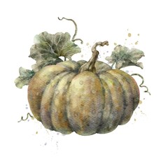 Colorful watercolor pumpkin with leaves. Helloween element. Digital illustration.