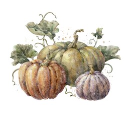 Colorful watercolor pumpkin set with leaves. Helloween element. Pumpkins composition. Digital illustration.
