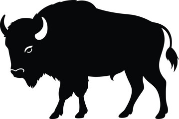 Bison buffalo  black silhouette vector