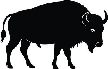 Bison buffalo  black silhouette vector,American bison or buffalo