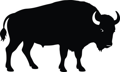 Bison buffalo  black silhouette vector,American bison or buffalo