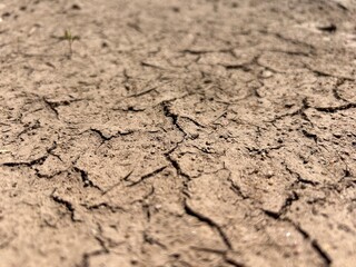 cracked earth, dry earth in cracks, brown dry earth in cracks, background of cracked earth
