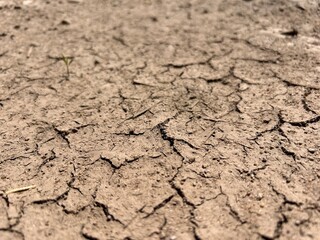 cracked earth, dry earth in cracks, brown dry earth in cracks, background of cracked earth
