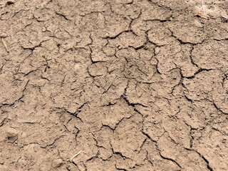 cracked earth, dry earth in cracks, brown dry earth in cracks, background of cracked earth

