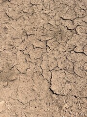 cracked earth, dry earth in cracks, brown dry earth in cracks, background of cracked earth

