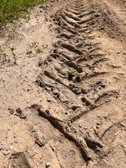 dried truck tracks in the sand

