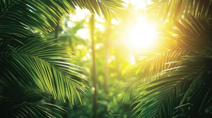 Obraz premium Sunlight filtering through lush tropical foliage.