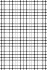 Squared  Paper Lines Full Background 