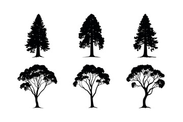 Fototapeta premium Six tree silhouettes collection illustration silhouette