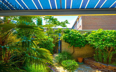 Plants in a mediterranean garden in bright sunlight in springtime, Almere, Flevoland, The...