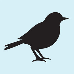 Obraz premium bird silhouette