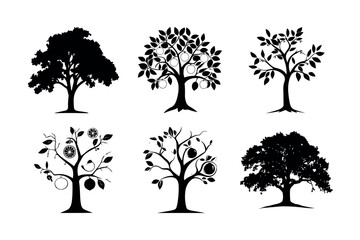 Fototapeta premium Six tree silhouettes collection illustration silhouette