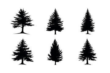 Obraz premium Six evergreen tree silhouettes collection