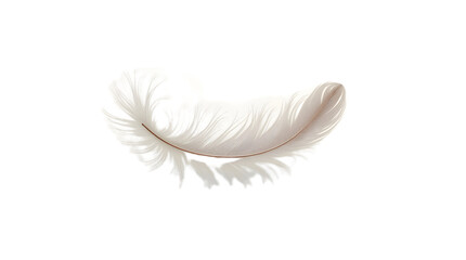 Soft and delicate white feather with fine details, isolated on transparent background—ideal for elegant, spiritual, or nature-themed design projects.
