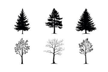 Fototapeta premium Six different tree silhouettes collection