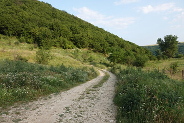 A winding dirt road meanders through a lush green landscape, climbing towards a forest-covered hillside under a blue sky.