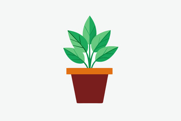 plant in a pot