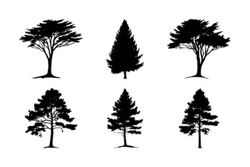 Six different tree silhouettes collection