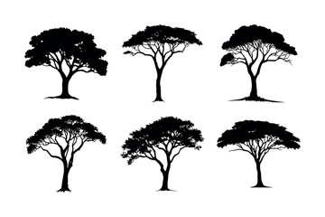 Six diverse tree silhouettes collection