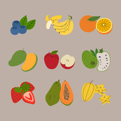 Flat Colorful Tropical Fruits Vector Set &ndash; Minimal Stroke Style