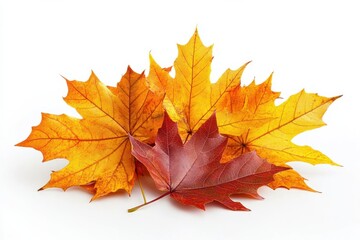 Autumn s Embrace Fall Leaves Displaying Vibrant Yellows Reds on White Background on White Background. Generative Ai