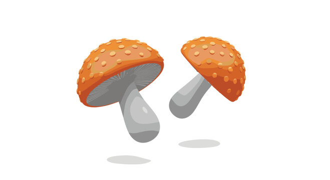 A Guide to Identifying and Understanding the Characteristics and Benefits of Wild Mushrooms