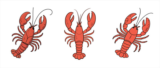 crab vector set red color hand drawn illustration on white background. crab icon set.