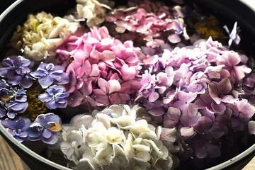 紫陽花の花手水