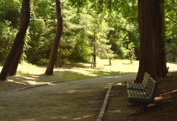 公園のベンチ二つ