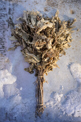 Close-Up of a Frozen Oak Bath Broom on Snow, Symbol of Hygiene and Wellness