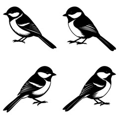 Four black and white chickadee birds in various poses isolated on a white background in vector format © Love