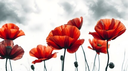 Naklejka premium Watercolor Poppies and Tulips