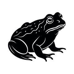 toad graphic illustration