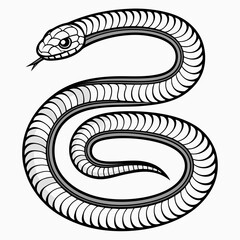 Fototapeta premium black snake vector illustration