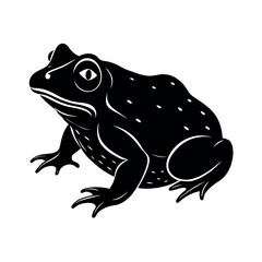 toad cartoon artwork