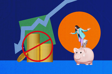 Creative design trend artwork collage of aged lady stand pig savings deposit arrow down bankruptcy...