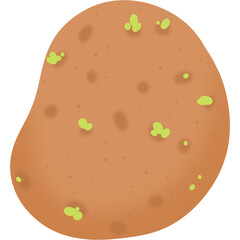 Potato 