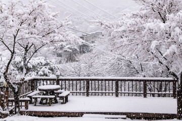 snow-covered patio with tree on a snowy day