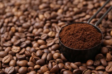 Scoop with instant coffee powder on beans, closeup. Space for text