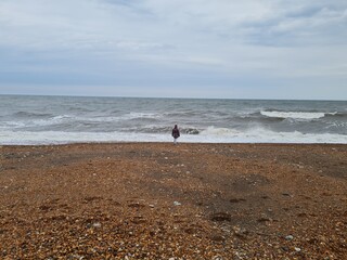 Girl On the Beach