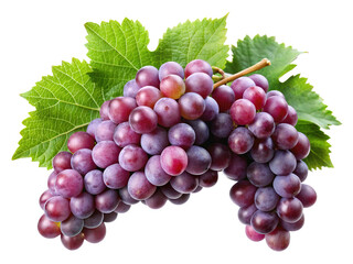 Fototapeta premium A luscious bunch of red grapes with vibrant green leaves on white
