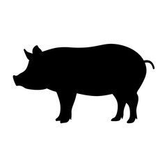 Silhouette of a pig standing isolated on a white background profile view