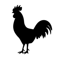 Black silhouette of a proud rooster standing on a white background