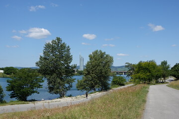 夏のドナウ川と散歩道