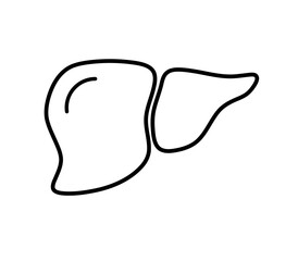 Obraz premium liver icon vector with simple design