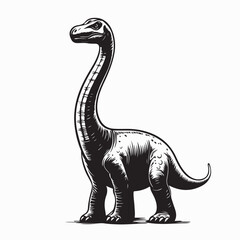 Brachiosaurus dinosaur on white background Vector Image isolated on white background. © Istianah